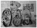 MS50
